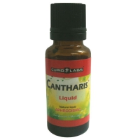 Cantharis